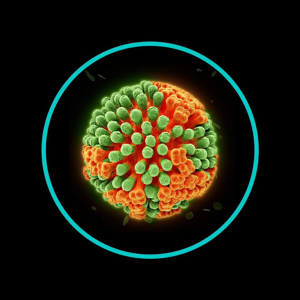 Microscopic image of a virus.